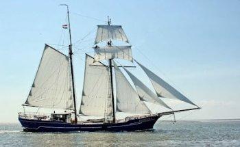 Topzeilschoener Fortuna