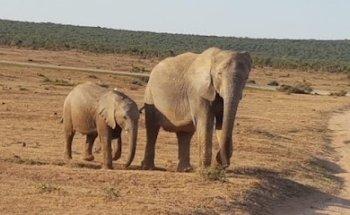 Travel Counsellor Marijn Cornelissen