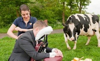 Experience in Travel