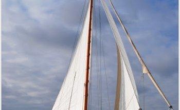 Charter Stevenaak Aaltje Engelina