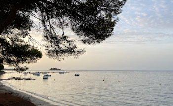 TUI at Home Chantal Munoz