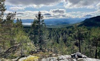 Surviking, survival en hiking | Trektochten & Expedities | Outdoor Fotografie