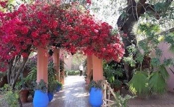 Mister Marrakech reizen