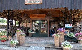 Vvv informatiepunt Zevenaar