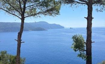 The Travel Club Putten, Bianca Jansen-Bakker