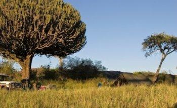 Prive Safari - DeLuxe klassieke tent safari's in Tanzania.