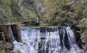 Travel Counsellors - Inge Koot