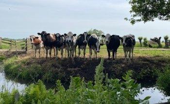 TUI at Home Linda van Schaik