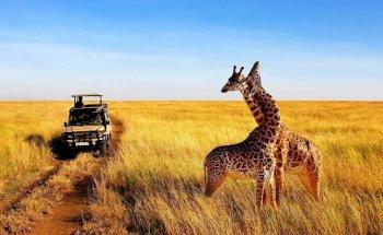 Viajes TravelToClouds