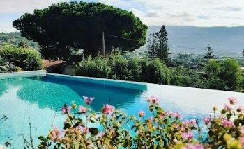 Andrea Kolb The Travel Club