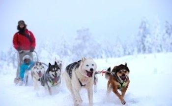 Scandinavian Wintersports | Scandinavian Seasons B.V.