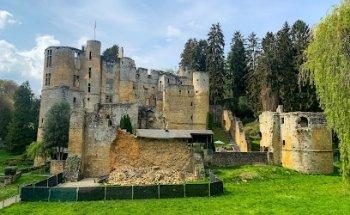 Roadtripper Driving Events