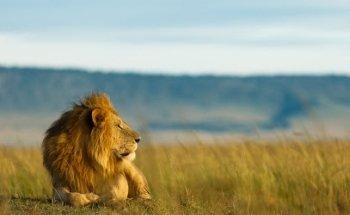 Tanzania Specialist | Safari, Round trips & Zanzibar