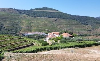 EFun Tours - Porto & Douro Tours (Trindade Meeting Point)