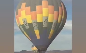 True Traveller - Agência de Viagens