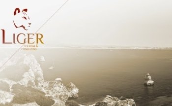 Liger DMC Réceptif Portugal