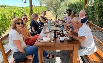 Daily Tours - Douro Valley, Wine Tastings, Arouca Bridge, Gerês National Park, Walking Tours