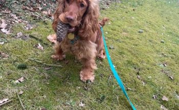 Reisadviseur aan huis - Rolf Buijze