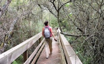 Quimera Travel Experiences