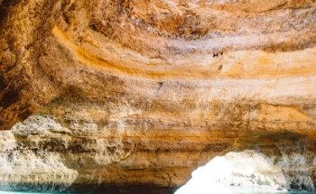 David Godinho boat tours