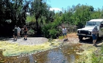 Stressaway Algarve Tours