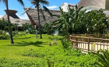 Euphoria Travel Agency