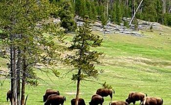 By Byoux - Experience the world