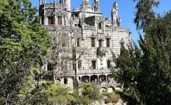 Wonder Van - Tours | Experiences | Events