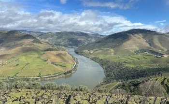 Wine Tourism in Portugal - Tour Agency