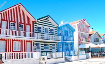 Douro Valley Wine Tours | Oporto Transfers