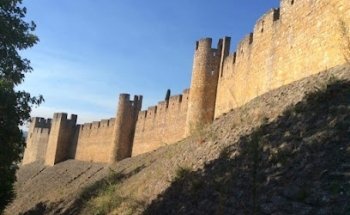 Caminhos da História, Lda