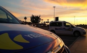 Yellowfish Transfers