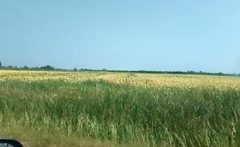 Agência Abreu - Guarda
