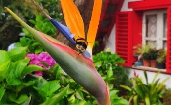 Secret Madeira tours - Travel Agency