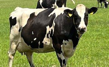 Landgoed Broekheurne