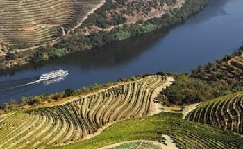 Rota do Douro