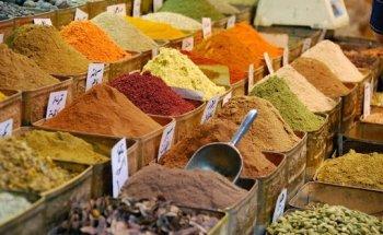 Viatges Domus Travel