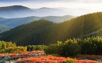 IT Ireland Tours GmbH