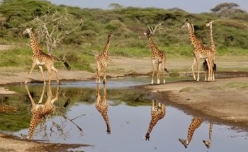WAGABON - créateur de voyage