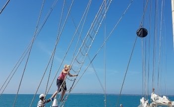 Croisimer International Ltd liab Co