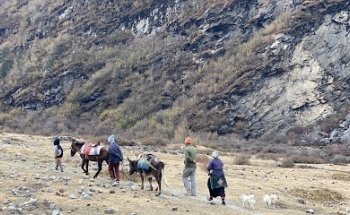 Shangrila Eco Trek and Expedition