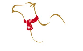 Asgunfa : Travel agency to Morocco