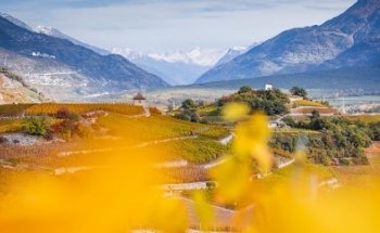 Verein Weindorf Salgesch