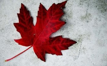 SR Travel Services AG (Schär-Filiale Ittigen neu in Worb)