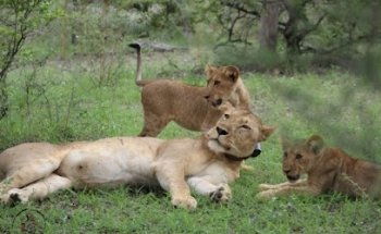 Hello Tanzania by KAMar concept of business GmbH