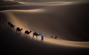 David Rouge Photographie