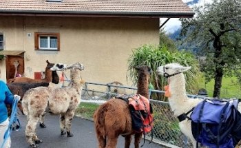 Lamatrek Jungfrauregion