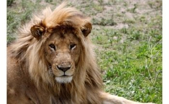 Tanzania Travels | Voyages & safaris en Tanzanie