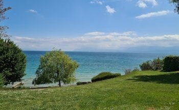 Colonies Vacances Plainpalais