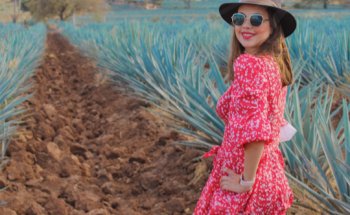 Agencia de viajes en Guadalajara Jalisco Adventours